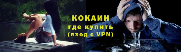стаф Майский