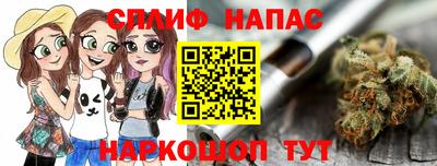 прущие грибы Будённовск