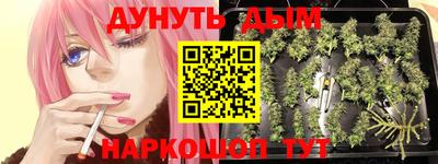 прущая мука Гай