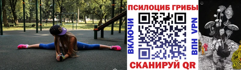 Галлюциногенные грибы Psilocybine cubensis  Домодедово 