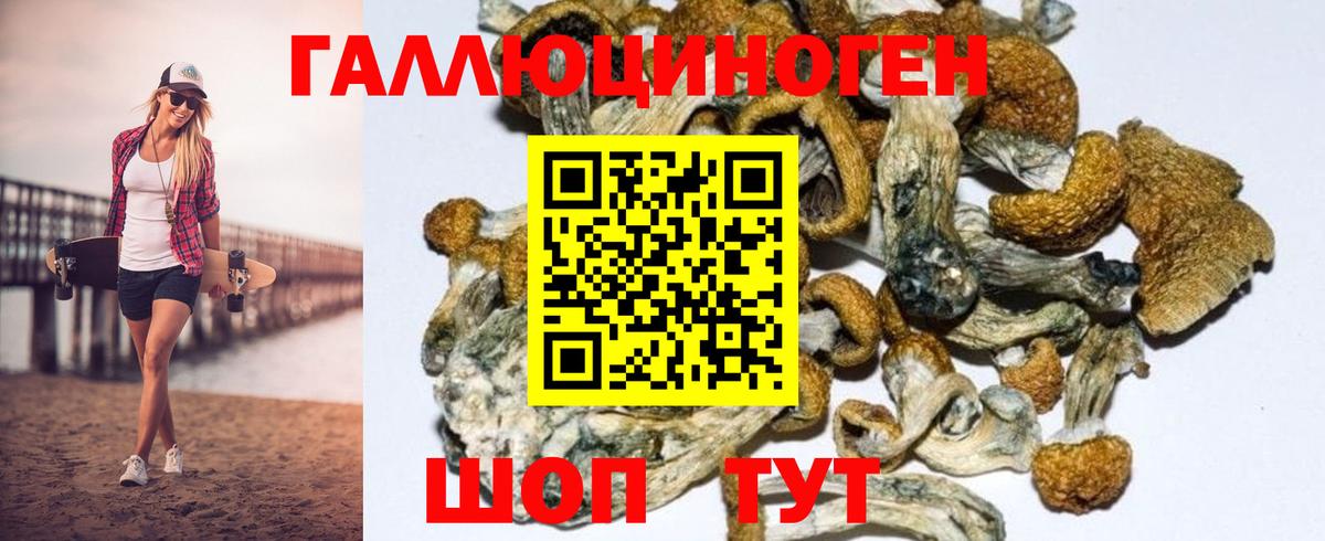 Галлюциногенные грибы GOLDEN TEACHER  Вход с VPN  Галлюциногенные грибы Magic Shrooms  Домодедово 