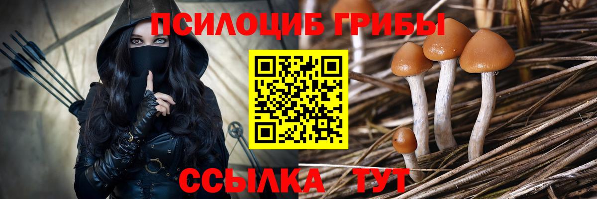 Псилоцибиновые грибы прущие грибы Домодедово